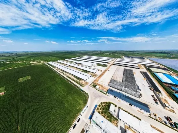 Pogon za preradu hrane za čelične konstrukcije
